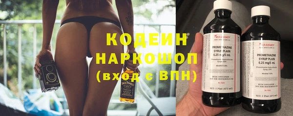 крисы Богородицк