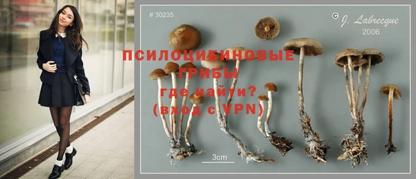 крисы Богородицк