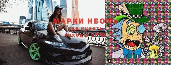 крисы Богородицк