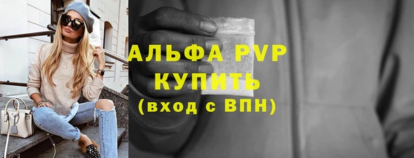 амф Богданович