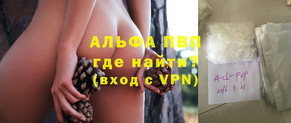 крисы Богородицк