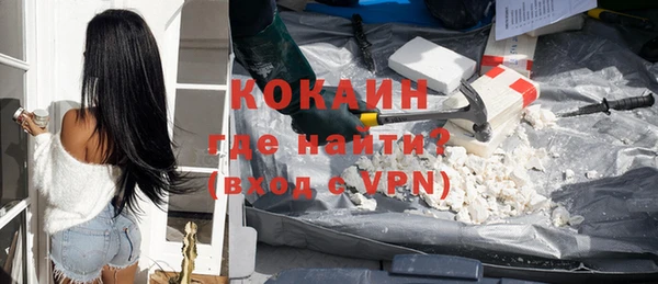 крисы Богородицк