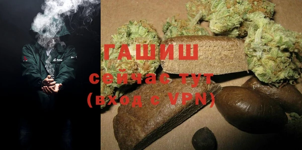 крисы Богородицк