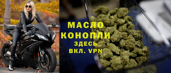 крисы Богородицк