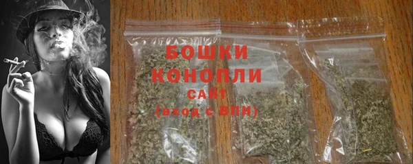 крисы Богородицк