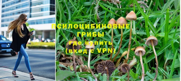 амф Богданович