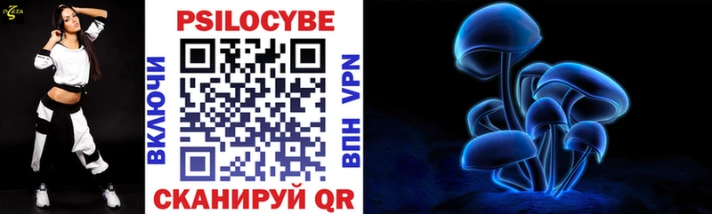 blacksprut как зайти  Северская  Псилоцибиновые грибы мухоморы 