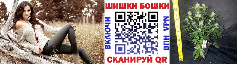 нарко площадка какой сайт  Северская  Канабис SATIVA & INDICA 